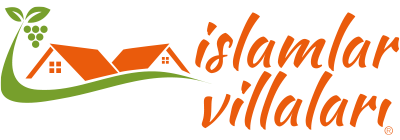 BIGBLUE TRAVEL AGENCY